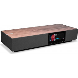 Cambridge Audio EVO ONE Enceinte connectée