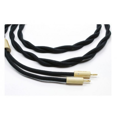 ACTINOTE SONATA EVO II 2*2M cable hp